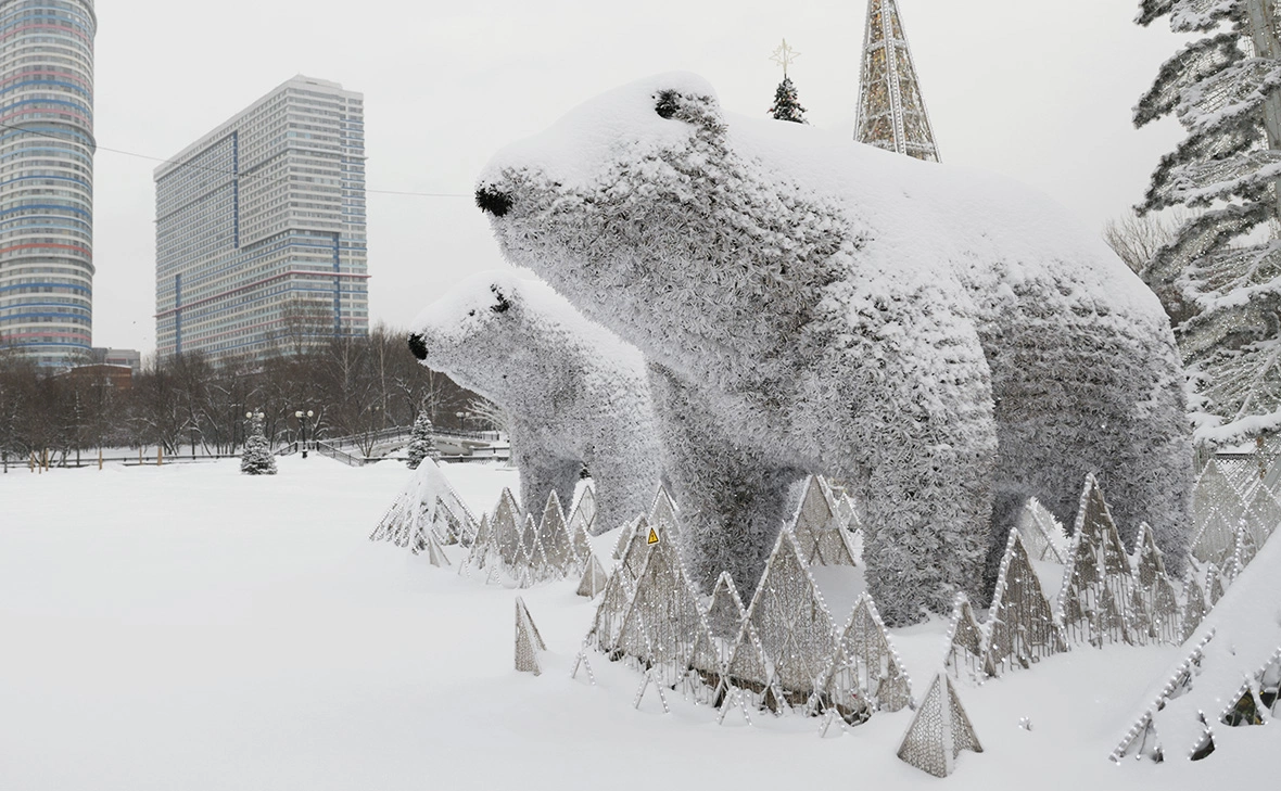 Михаил Гребенщиков / РБК
