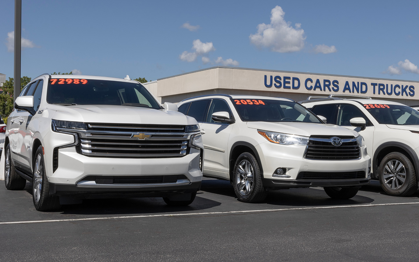 Фото: Jonathan Weiss / Shutterstock / FOTODOM