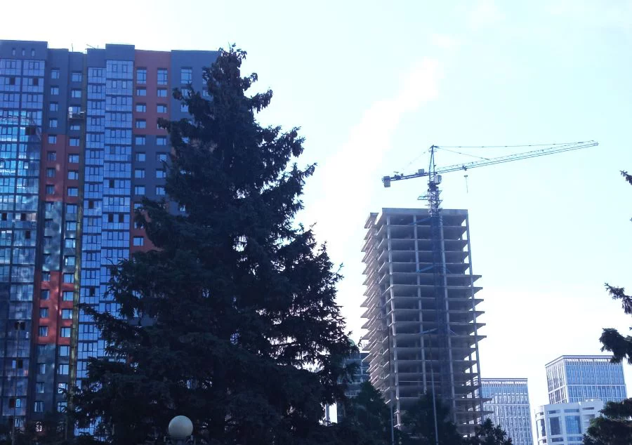 РБК Новосибирск