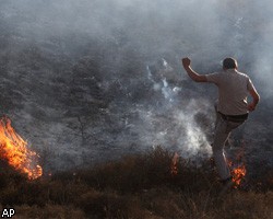 В Израиле бушуют лесные пожары: 40 погибших, десятки пострадавших