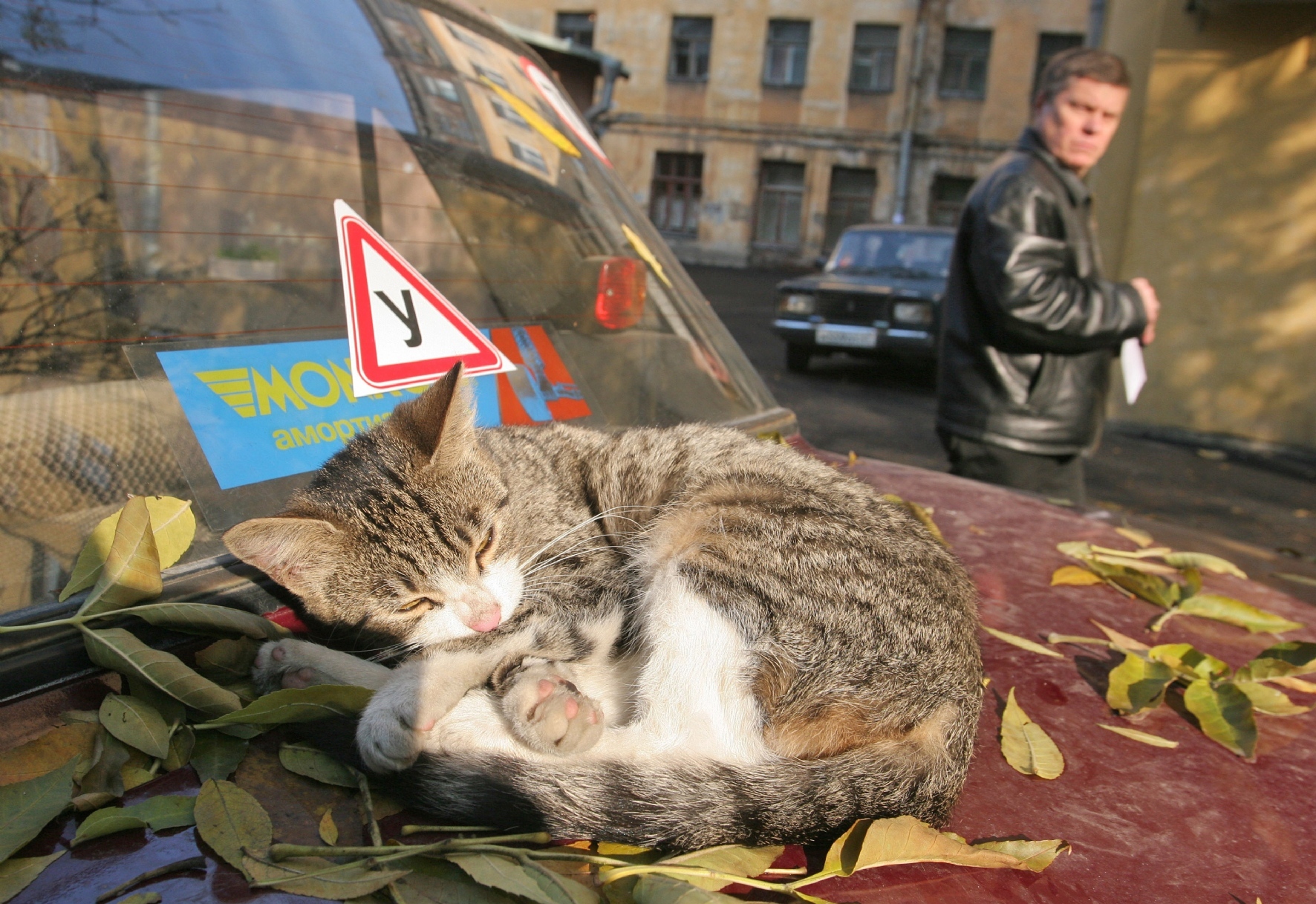 Фото: Интерпресс / PhotoXPress.ru