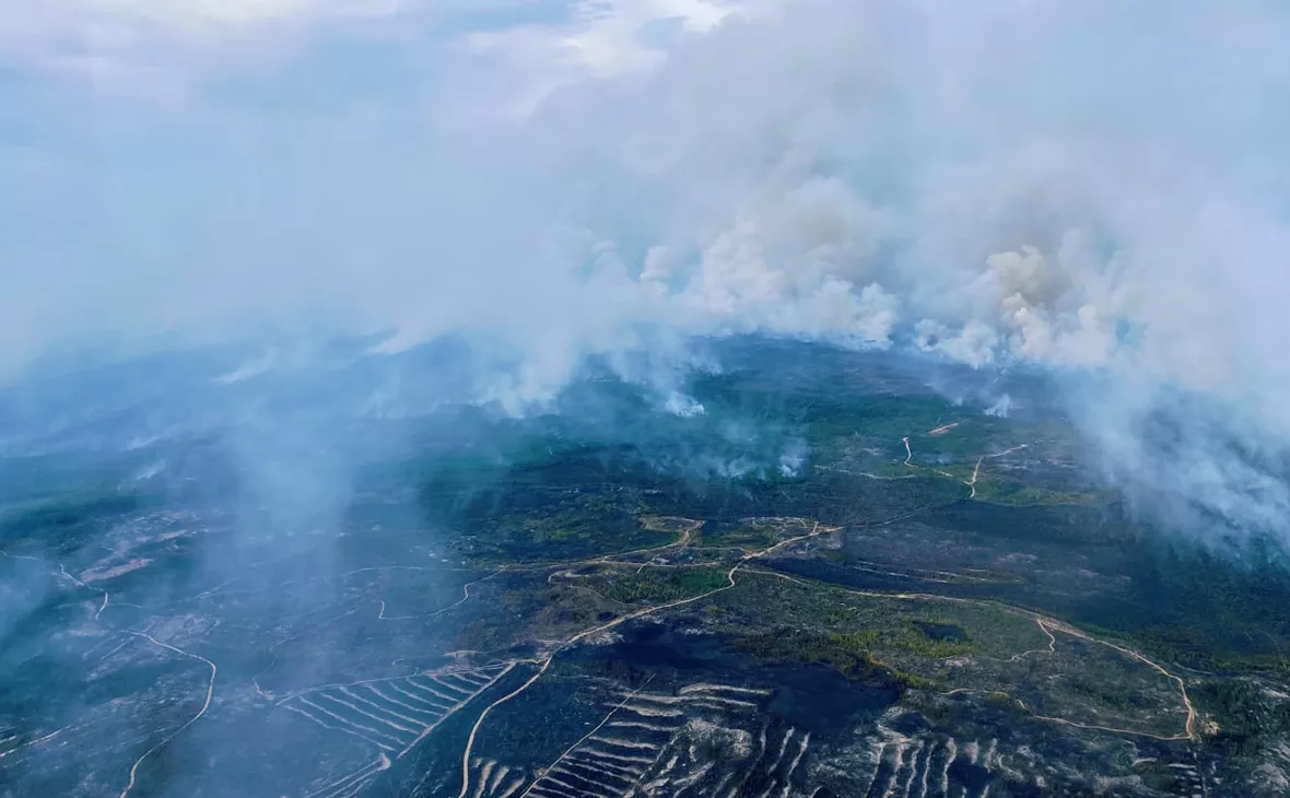 mos_sobyanin / Telegram