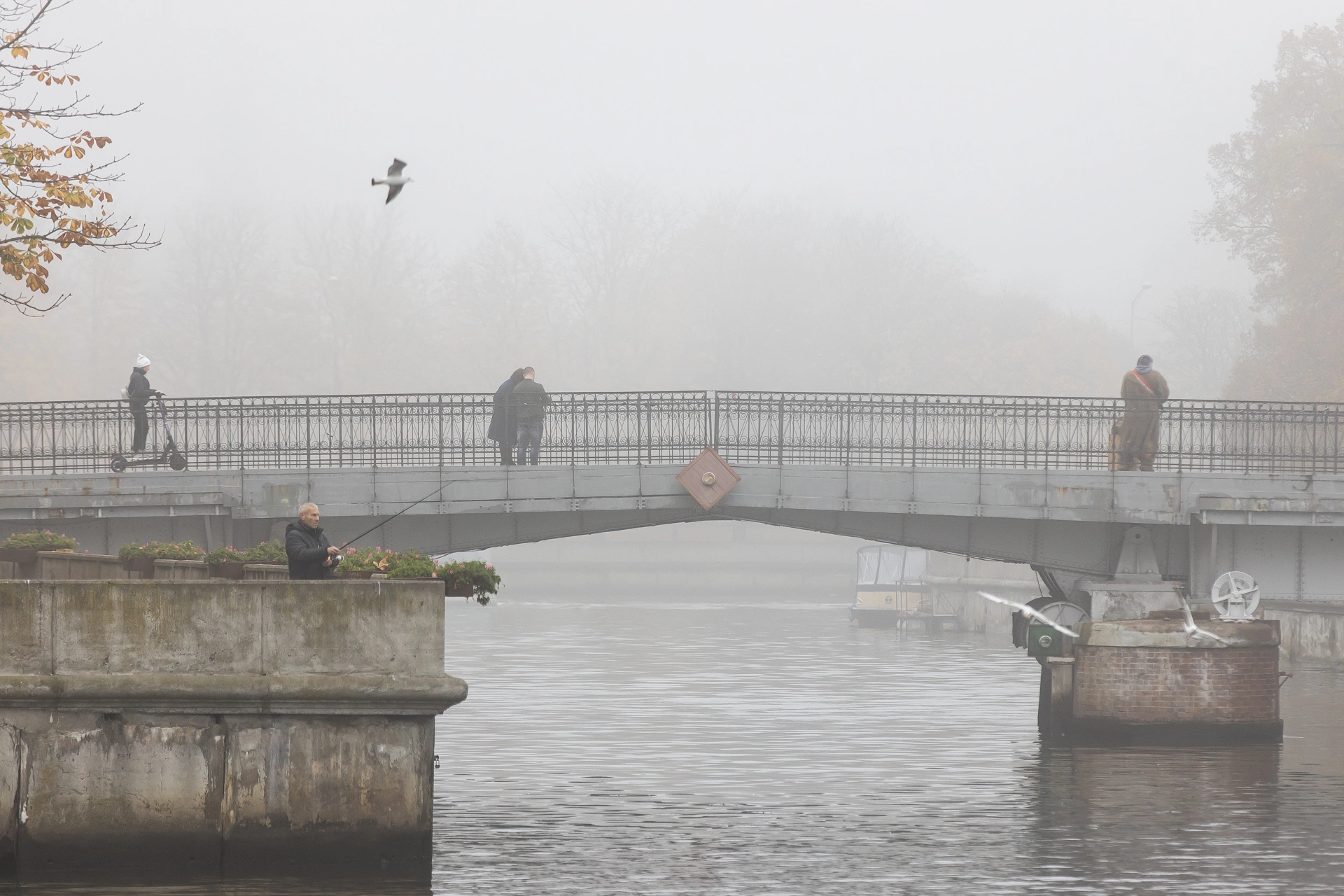 Александр Подгорчук