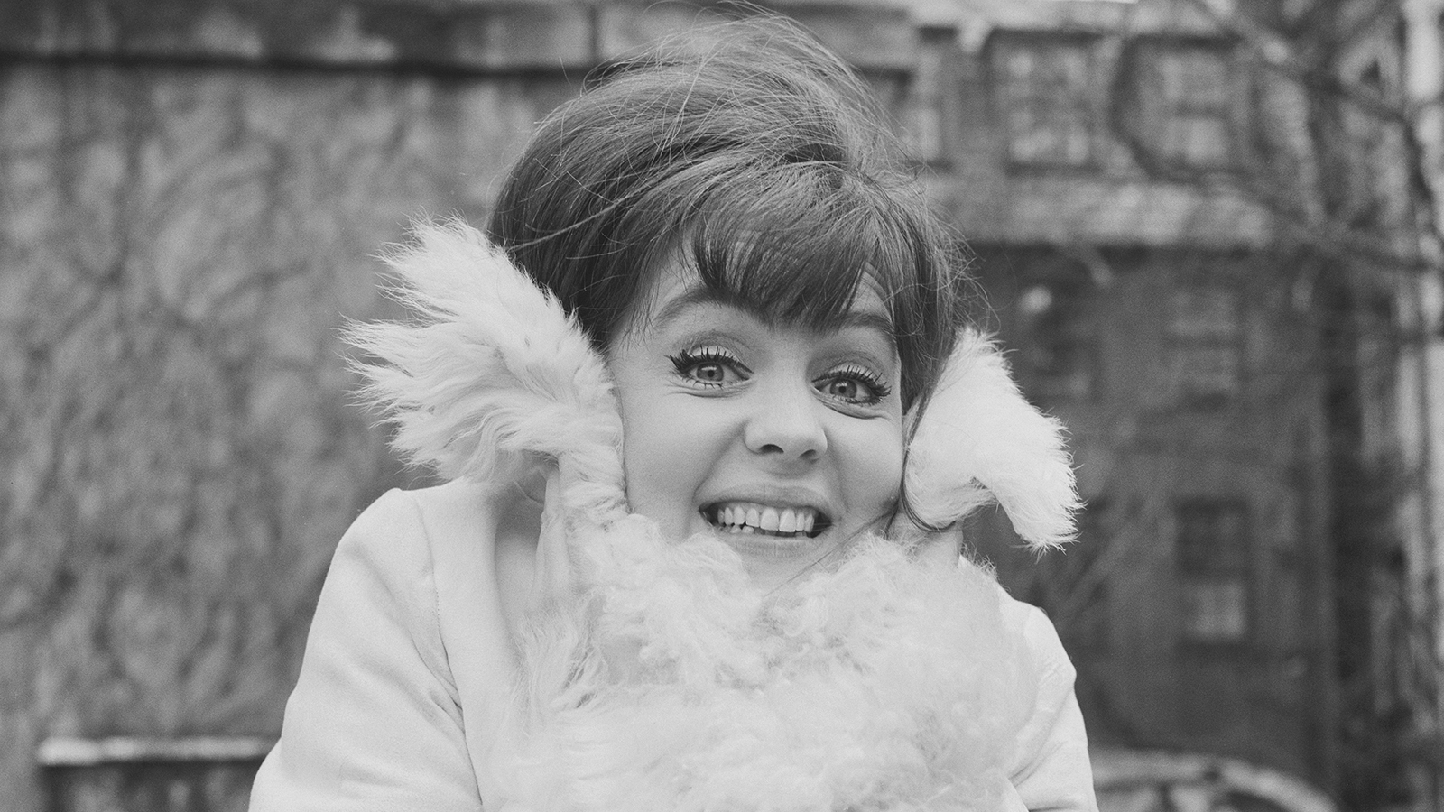 Полин Коллинз