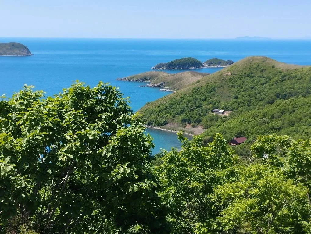 РБК Приморье