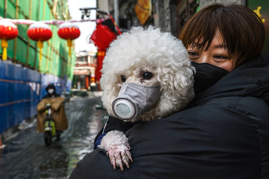 Жительница КНР и ее собака в защитной маске. Пекин.

По данным ВОЗ на 10 февраля, в Пекине&nbsp;зарегистрировано​ 337 случаев заболевания коронавирусом
