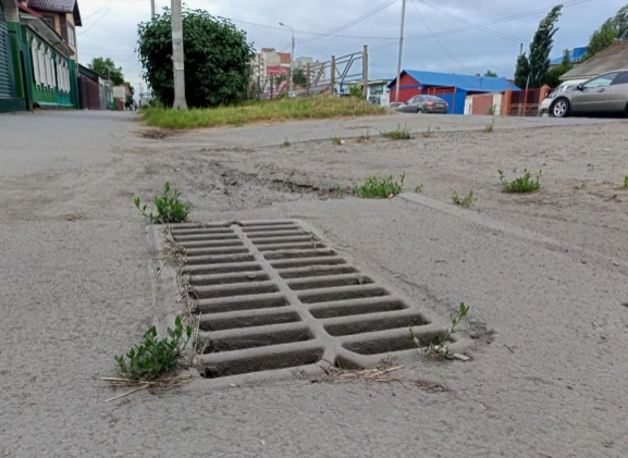 Алексей Коваленок / РБК Новосибирск