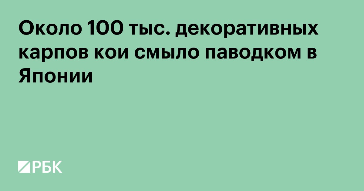Около 100 тыс. декоративных карпов кои смыло паводком с фермы в Японии