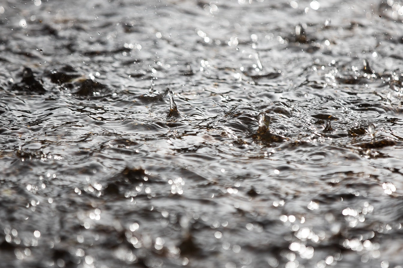 Александр Подгорчук