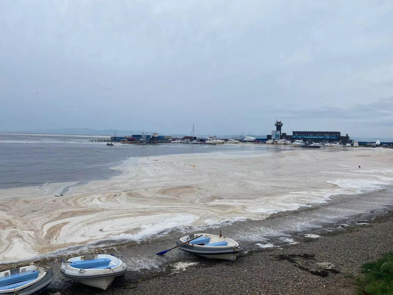 РБК Приморье