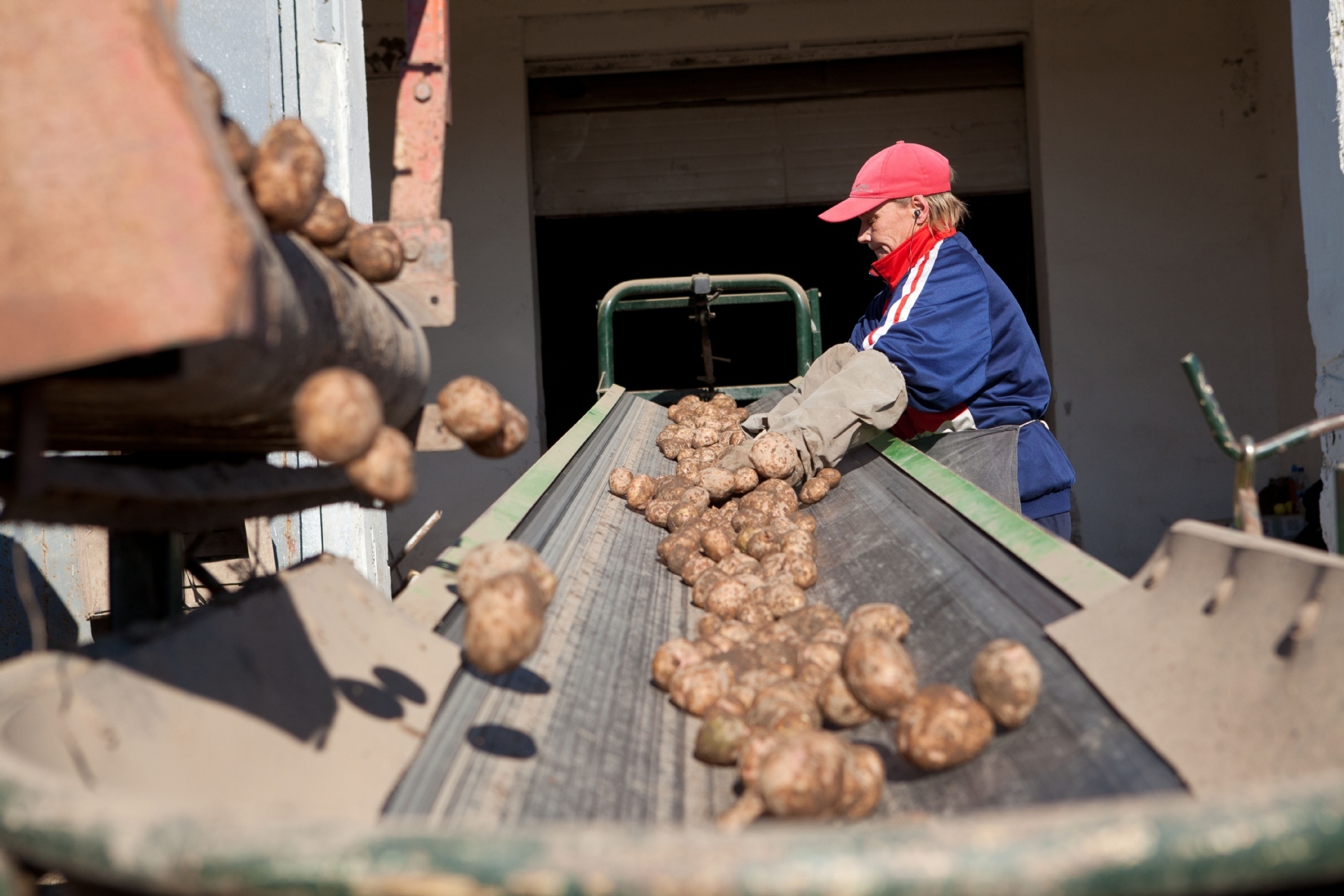 Фото: Степанов Евгений / PhotoXPress.ru