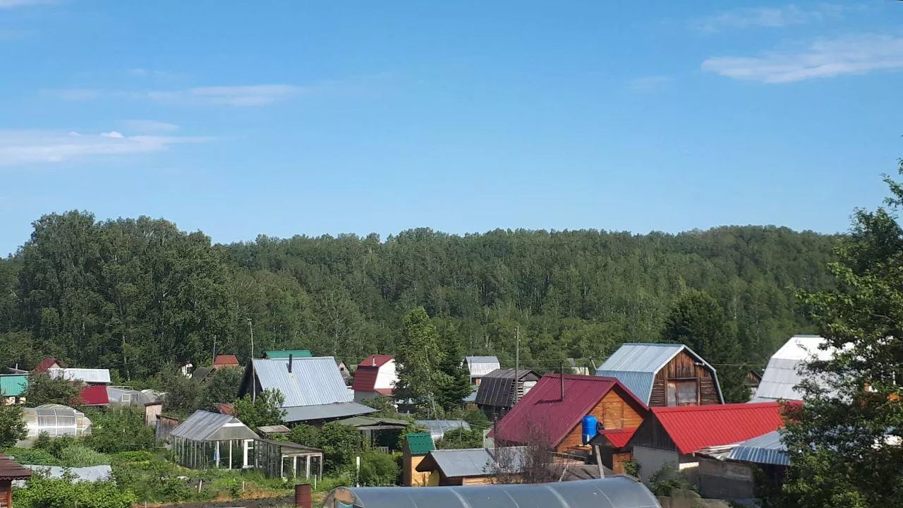 РБК Новосибирск