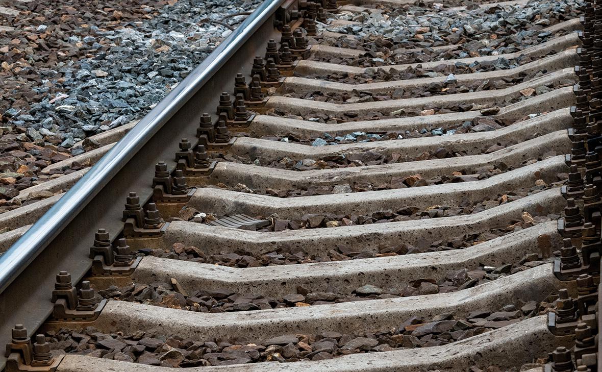 Фото:Светлана Возмилова / Global Look Press