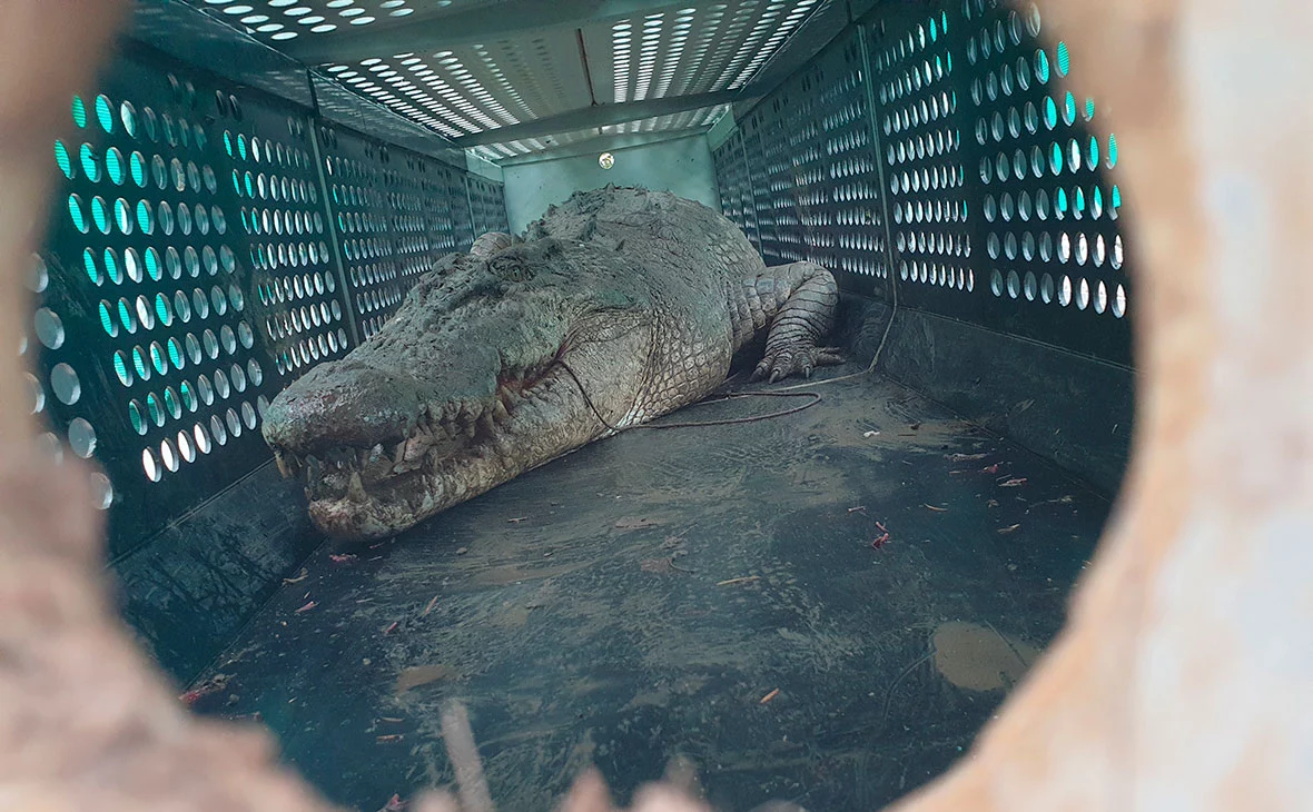 Cover Images / Keystone Press Agency / Global Look Press