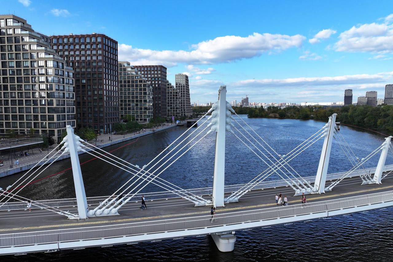 Мост имеет форму полукруга, а его система пилонов и вант устроена по аналогии с фермой инженера Финка: когда верхняя балка опирается на вертикальные мачты, подвешенные на натяжных стержнях. Уклон пролетного строения невелик, поэтому здесь нет ступенек &mdash; это удобно и безопасно