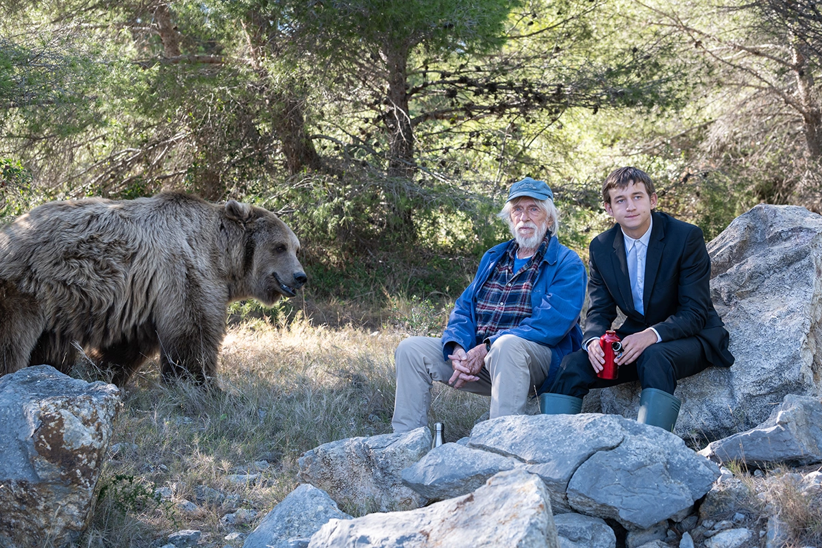 Кадр из фильма «Человек, который видел медведя, который видел человека», режиссер Пьер Ришар, 2025 год
