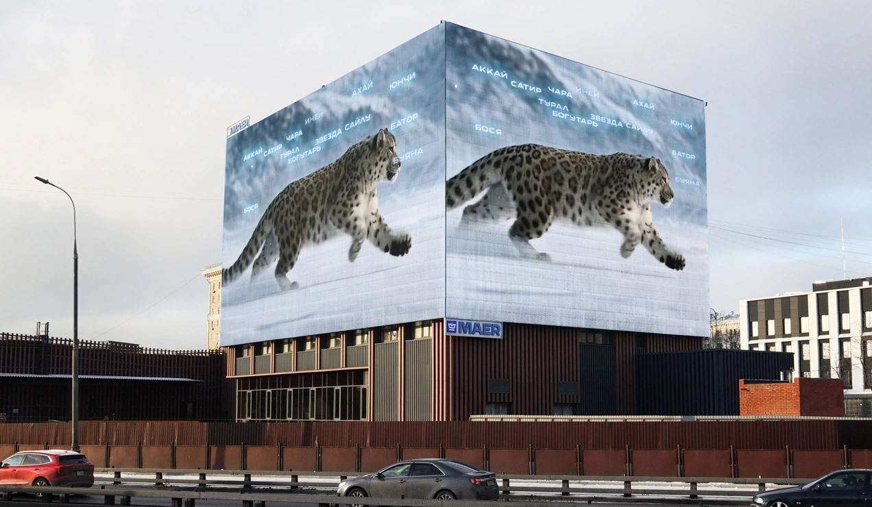 Рынок цифровой наружной рекламы вырос на 10–15% в 2025 году