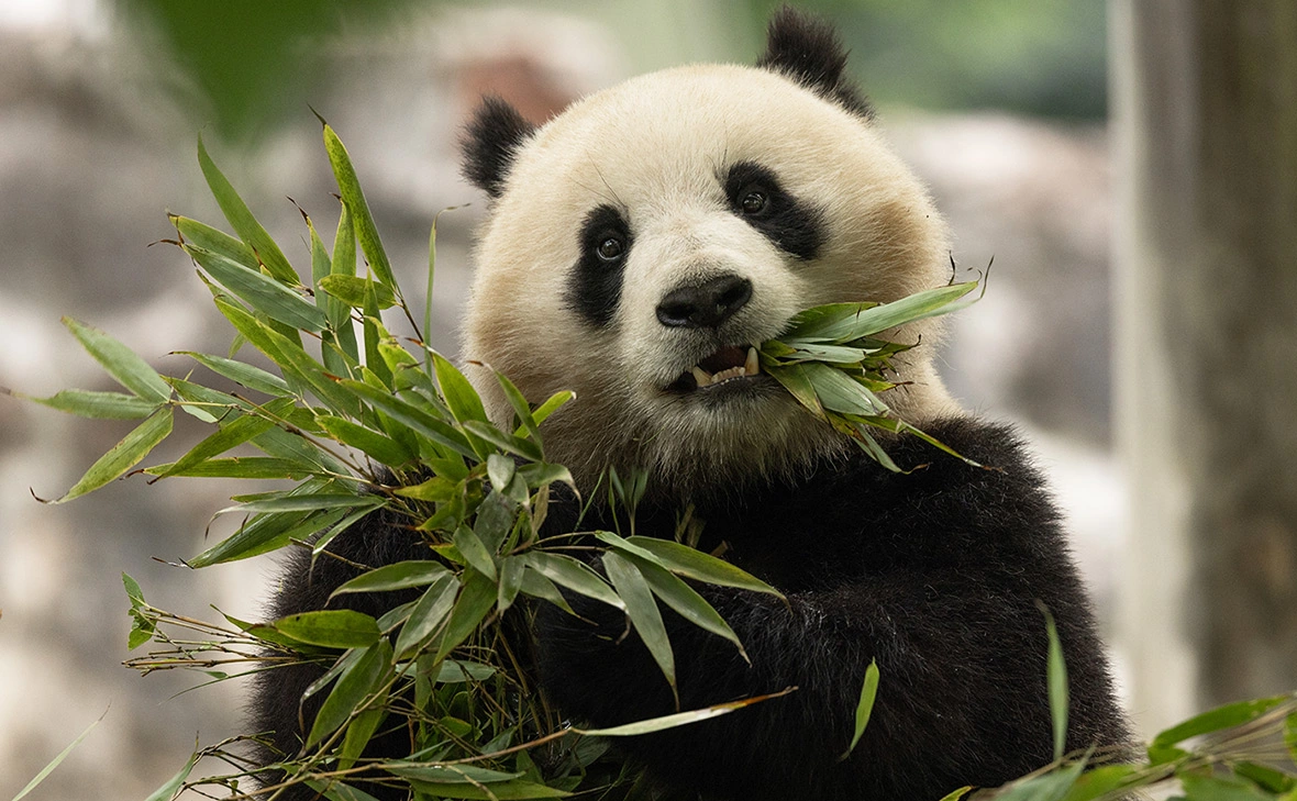 Smithsonian's National Zoo & Conservation Biology Institute