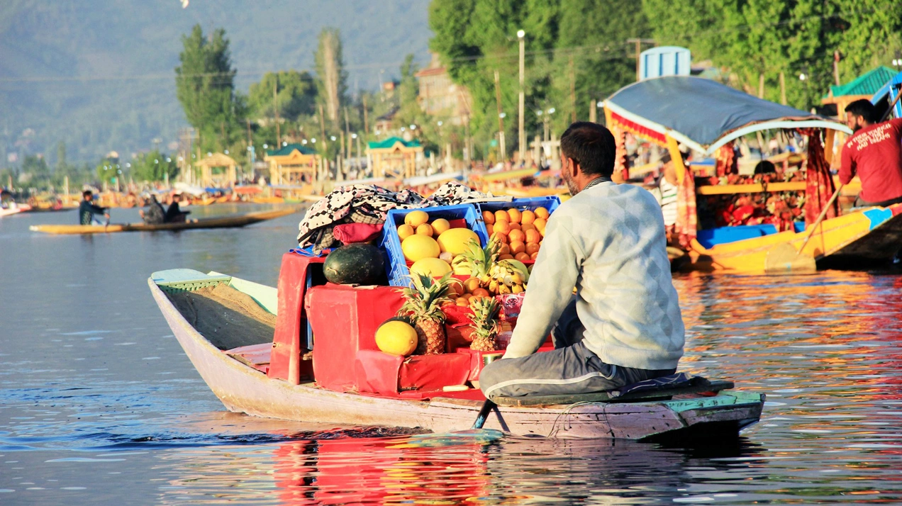 Почему в Индии хотят нарастить экспорт фруктов