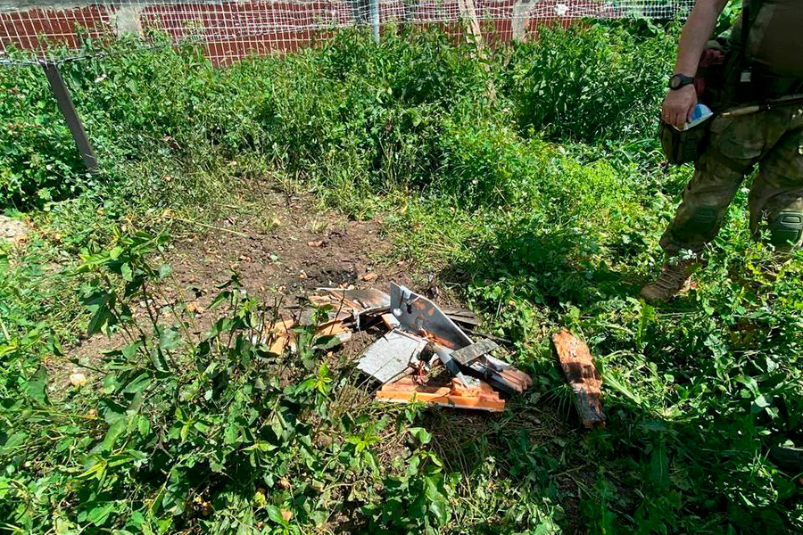 Фото: vvgladkov / Telegram