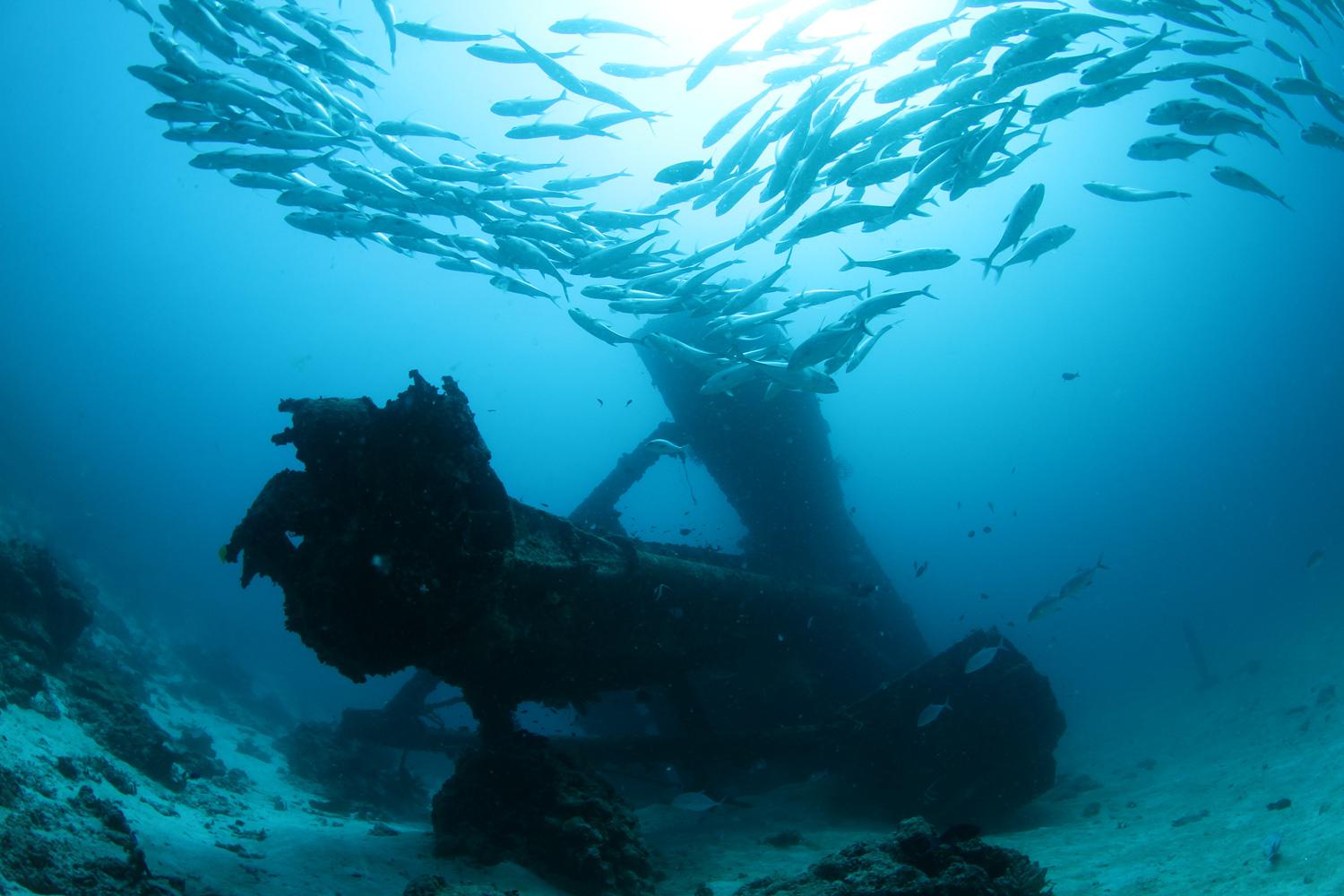 Затопленое судно Раннамаари стало центром притяжения дайверов на Мальдивах