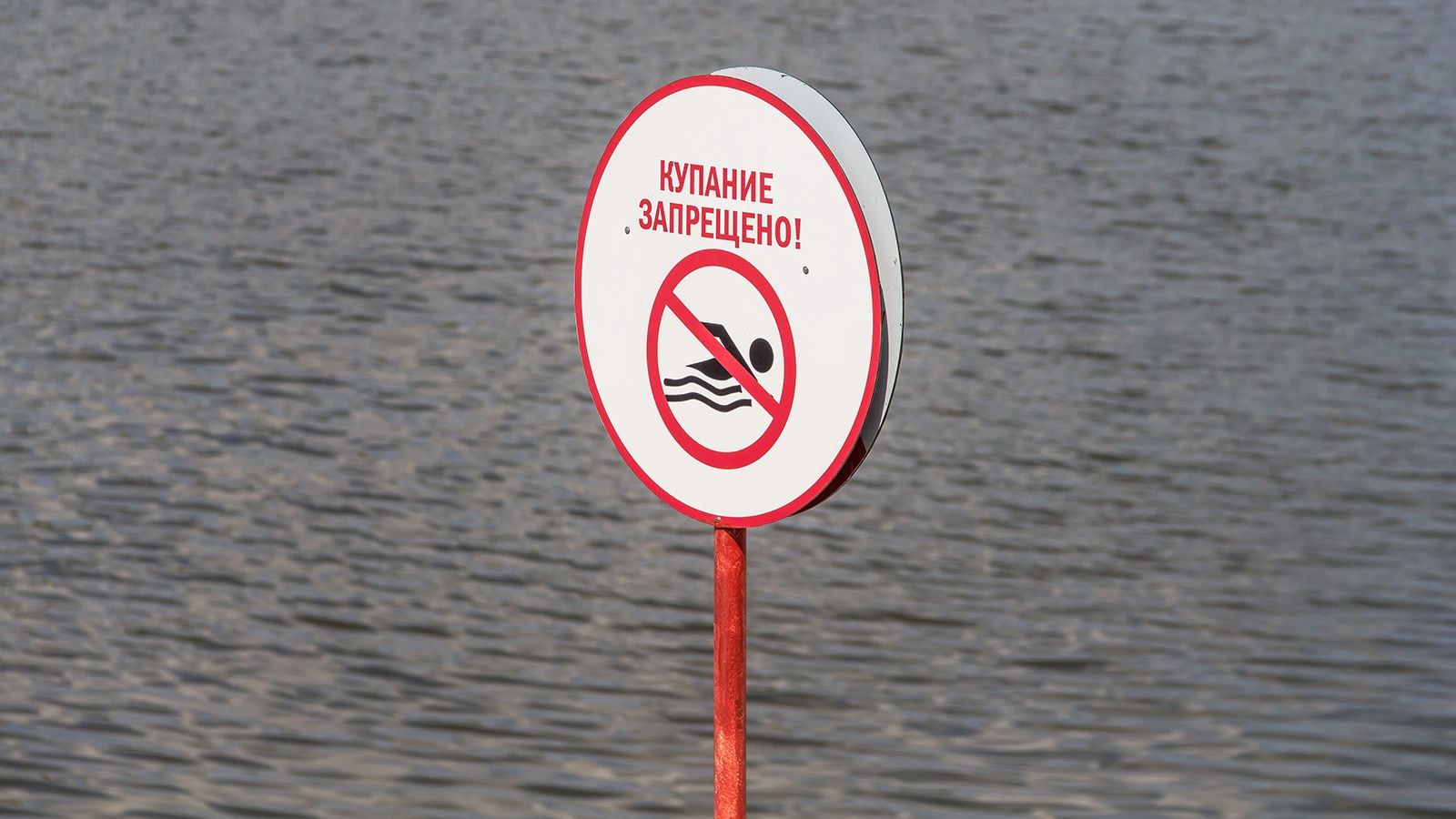 В Москве временно запретили купание в зоне отдыха «Тропарево»