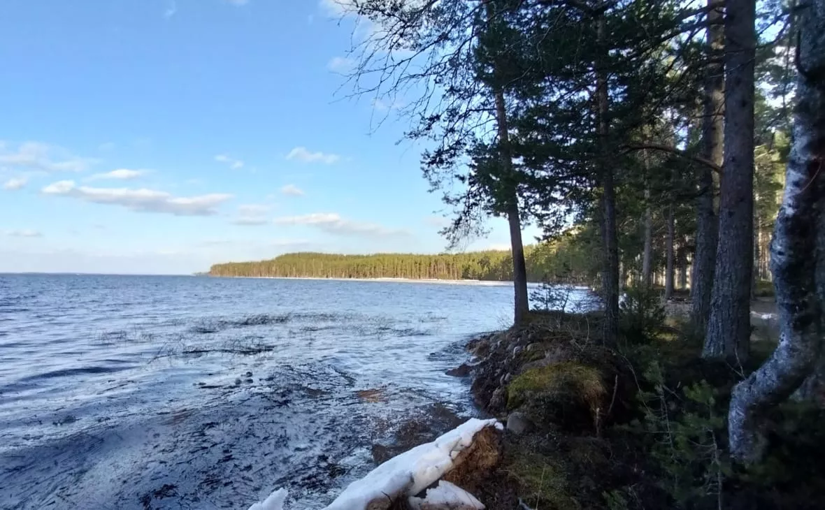 РБК Карелия