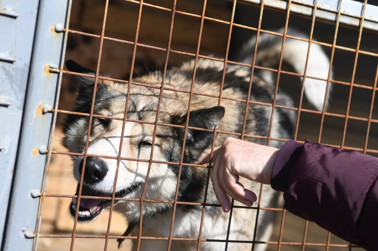 Фото: Владимир Жабриков / URA.RU