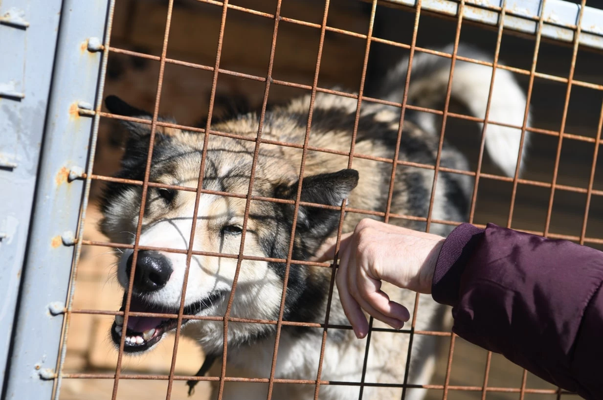 Владимир Жабриков / URA.RU