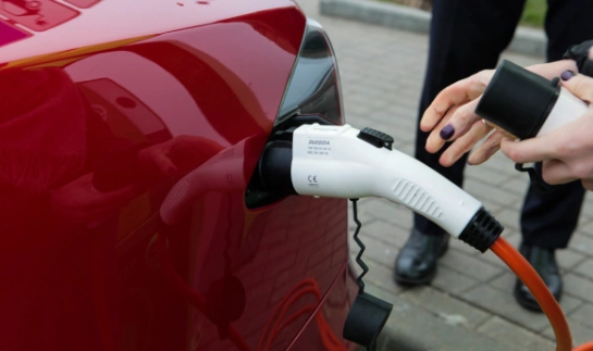 Жукович Михаил/PhotoXPress.ru