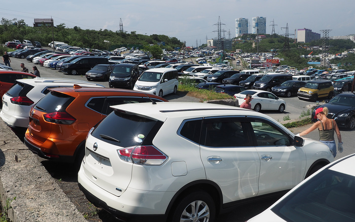 Фото: Alexander Gafarro / Shutterstock / FOTODOM