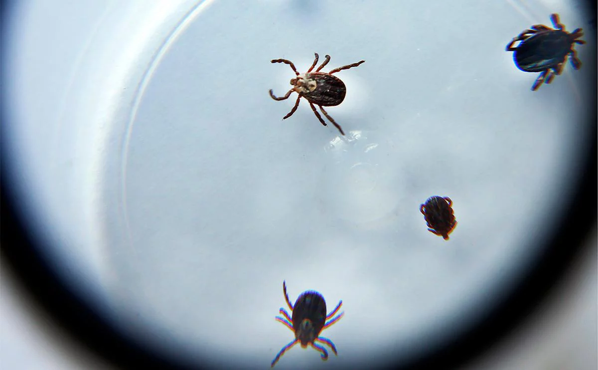 Виталий Матыцин / ТАСС