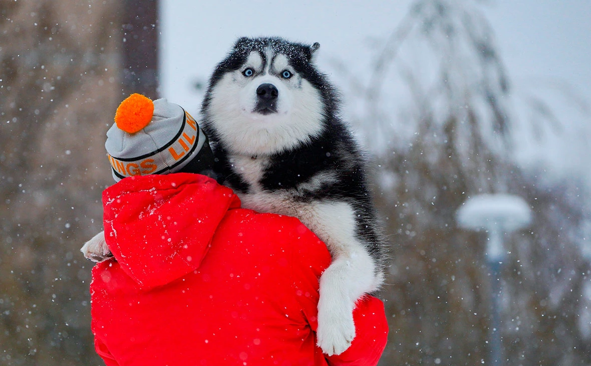 Пелагия Тихонова / АГН «Москва»