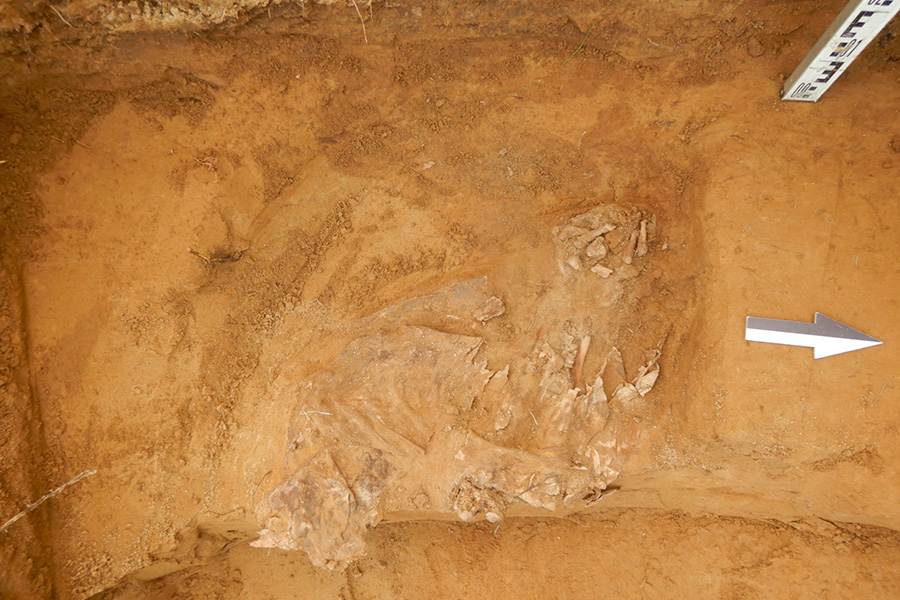 Фото: ЦСН Амурской области / VK