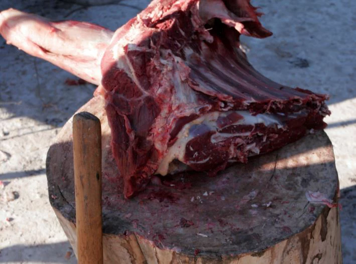 Николай Титов, Russian Look