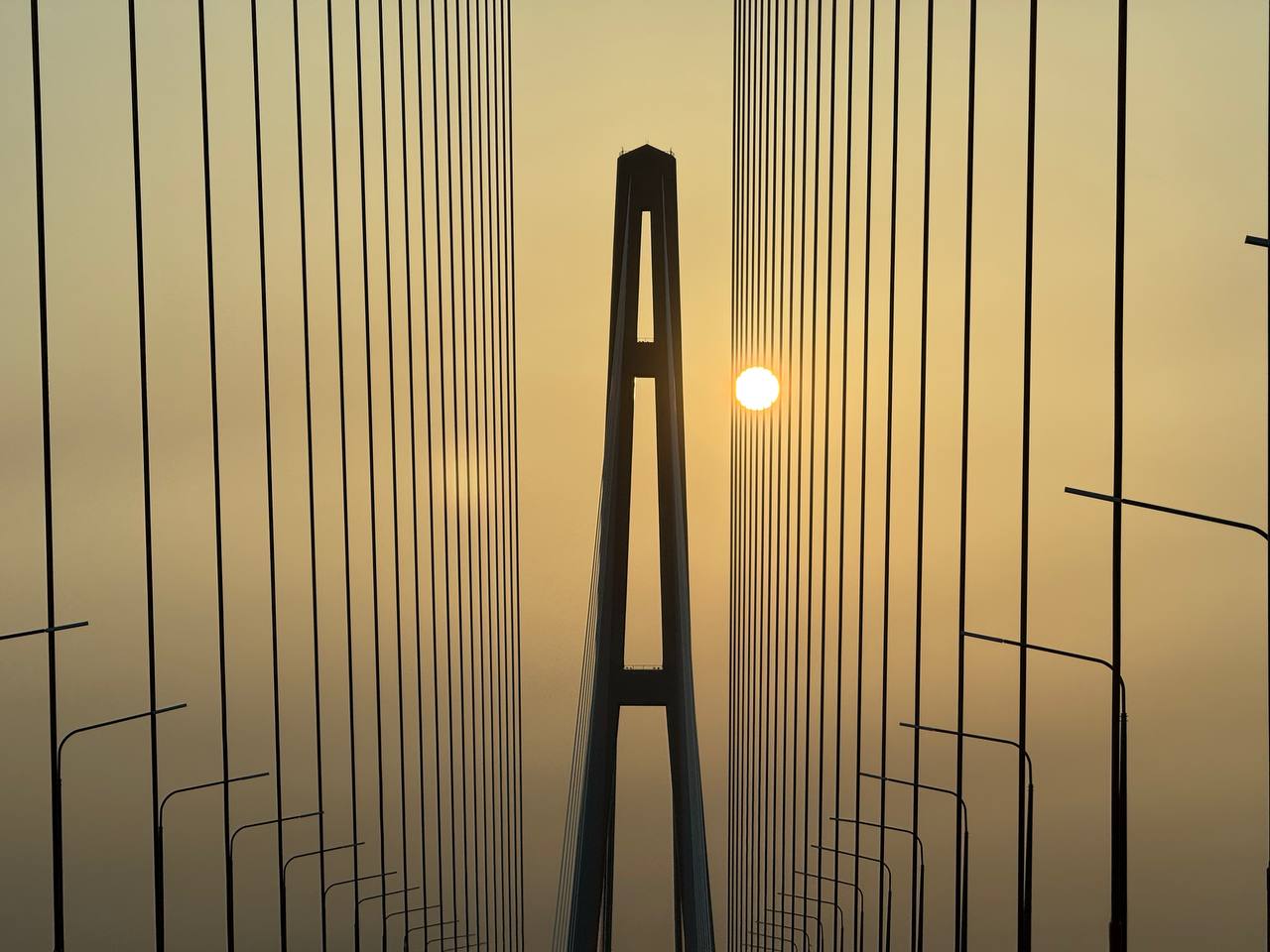 Фото: РБК Приморье