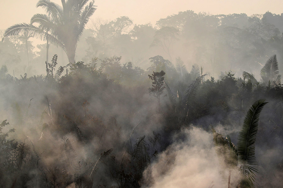 Экологи отмечают, что ситуация в бразильской Амазонии может помешать борьбе с глобальным потеплением
