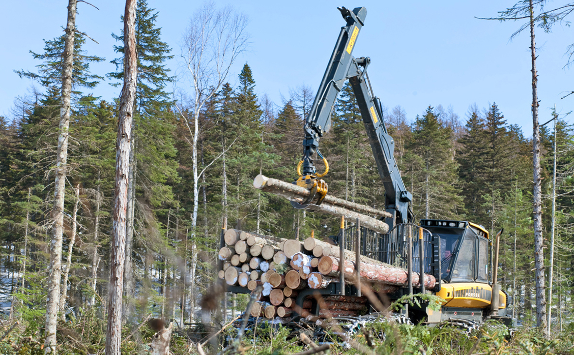 Власти одобрили продажу крупнейшей лесной компании на Дальнем Востоке"/>













