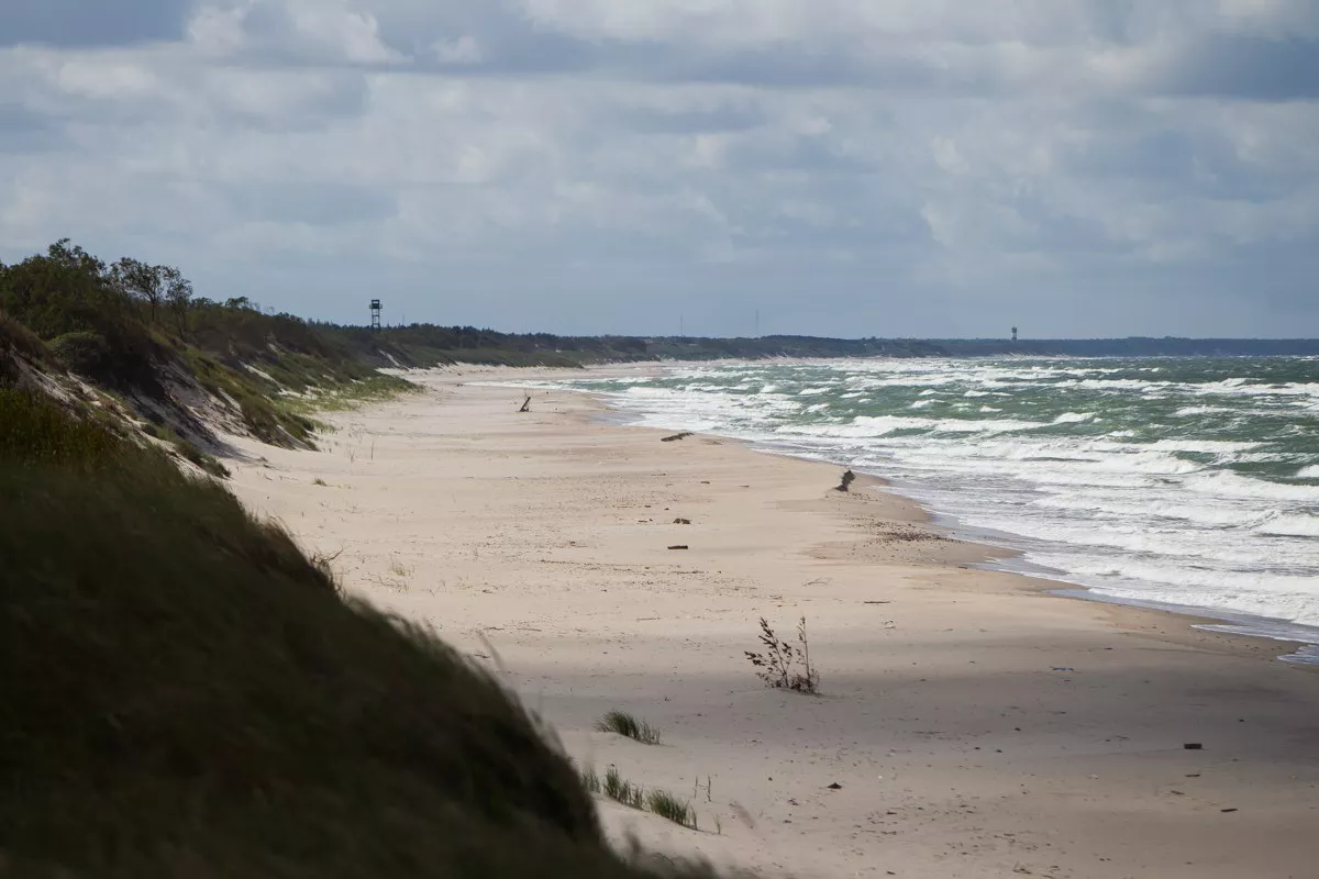 Александр Подгорчук