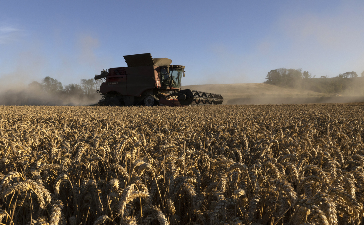  Dan Kitwood / Getty Images