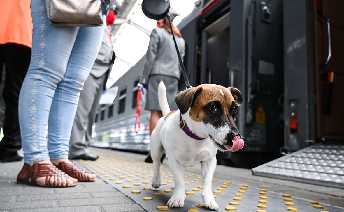 Михаил Голенков / РИА Новости