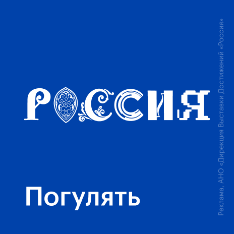 BBC Russian - Видео и фото - 