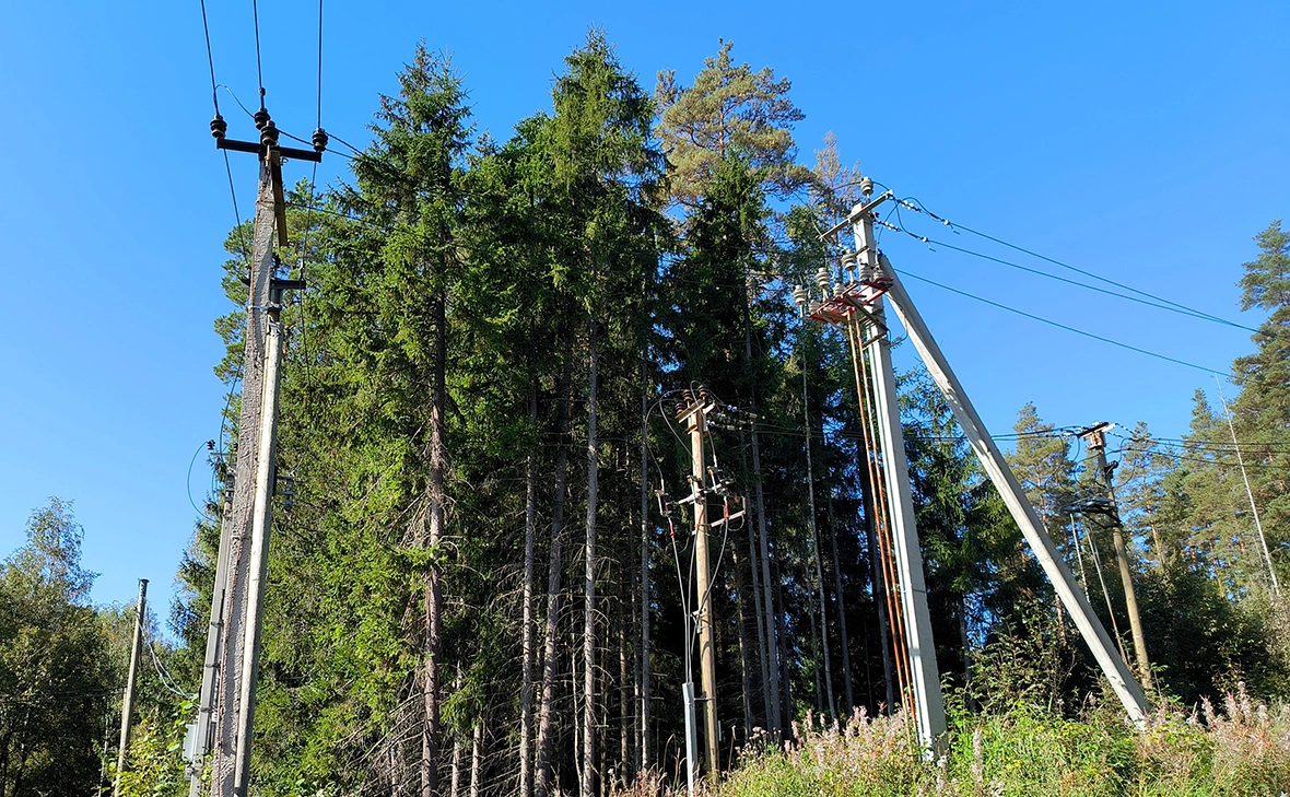 Максим Константинов / Global Look Press