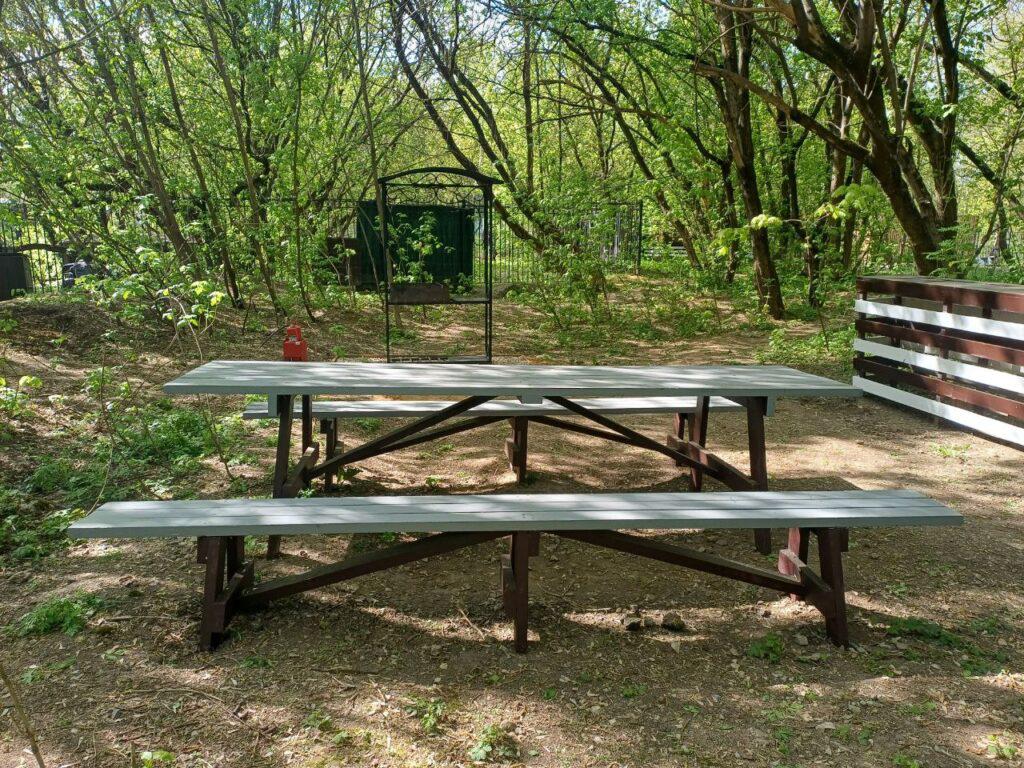 Место для шашлыка с мангалом в Бирюлевском дендропарке