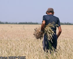 ВБ призывает экспортеров не ограничивать продажи зерна