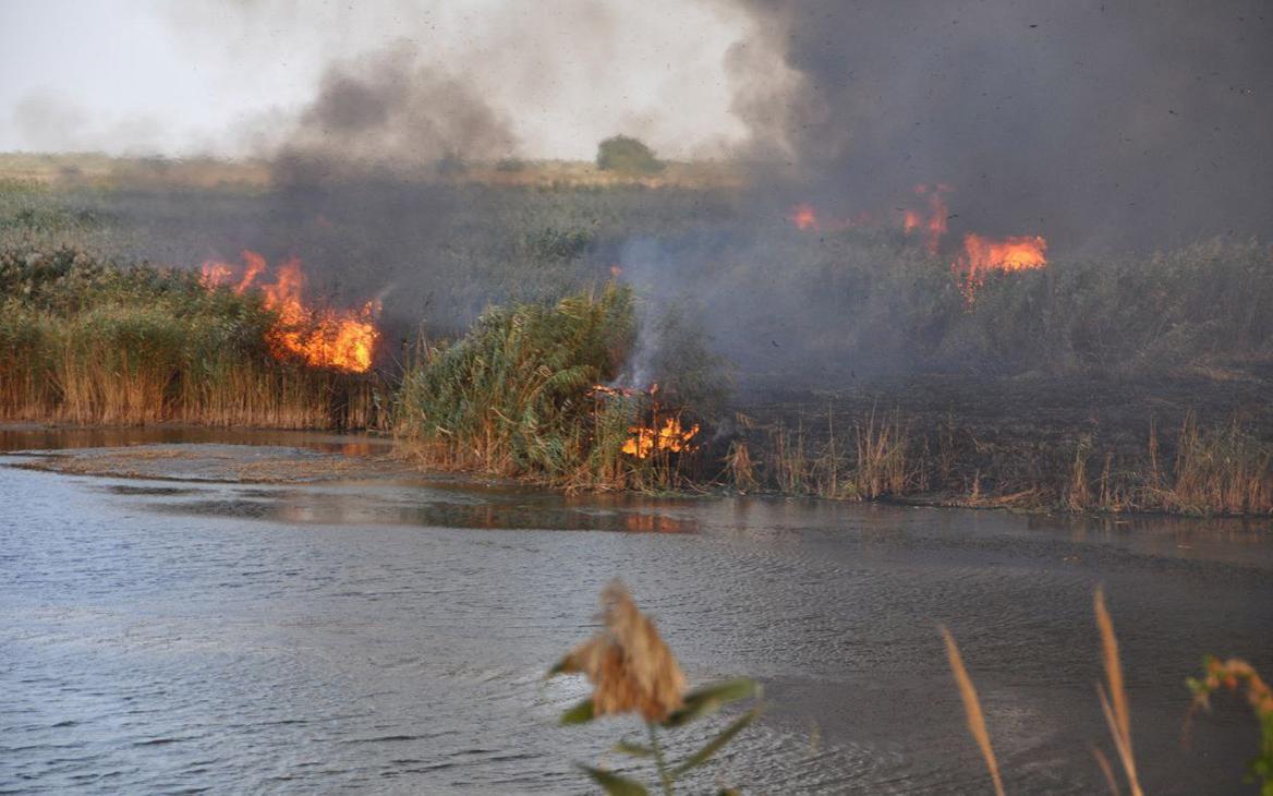 При тушении пожаров в Рязанской области погиб человек
