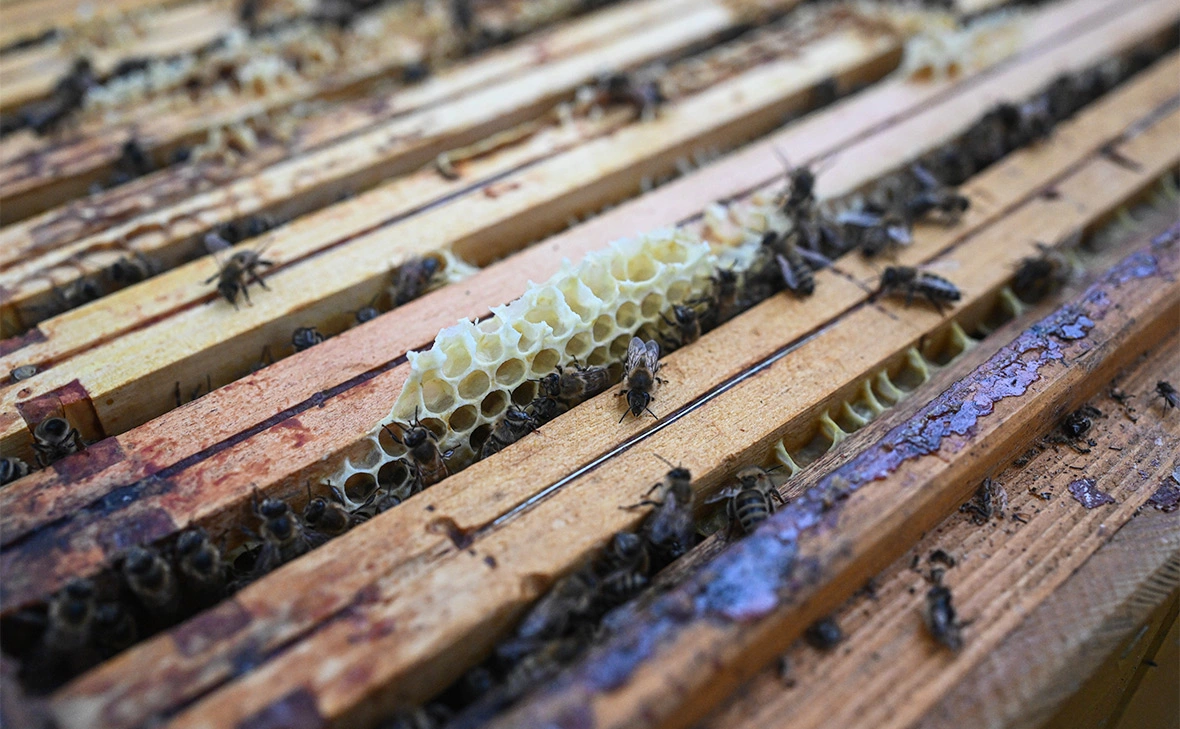 Omar Marques / Getty Images