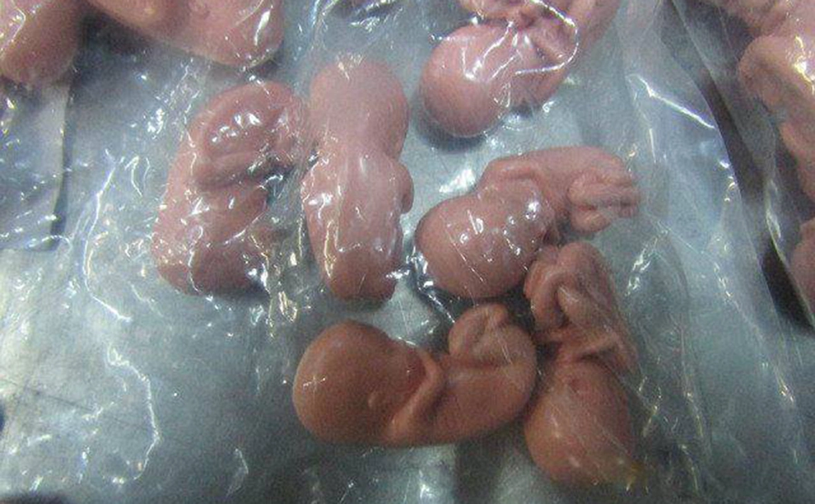 customs_rf / Telegram