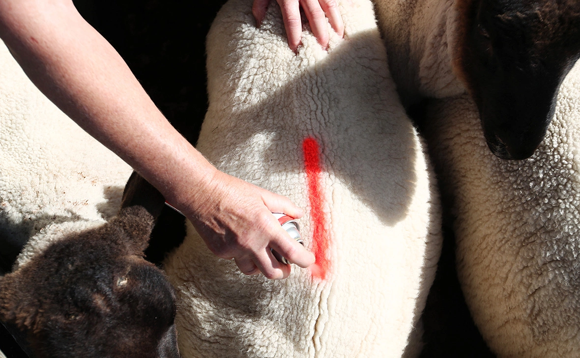 Fiona Goodall / Getty Images