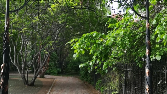 пресс-служба мэрии Новосибирска